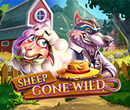 Sheep Gone Wild